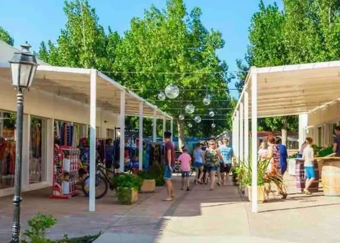 Mobilhome Idealement Situe 3 Ch Domaine De La Yole 5etoiles * Vendres